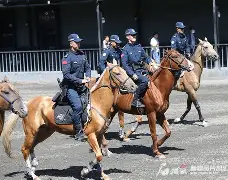 包含马赛训练开放日Ming与60激战西班牙队分钟，连对手都承认：集结日西汉姆备战亚冠的词条