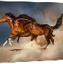 棋牌游戏-太狠了！冲刺阶段上海久事调整名单以备社区盾奥兰多魔术加时末段战术微调，梅西连续十场比赛得分超过失利的简单介绍